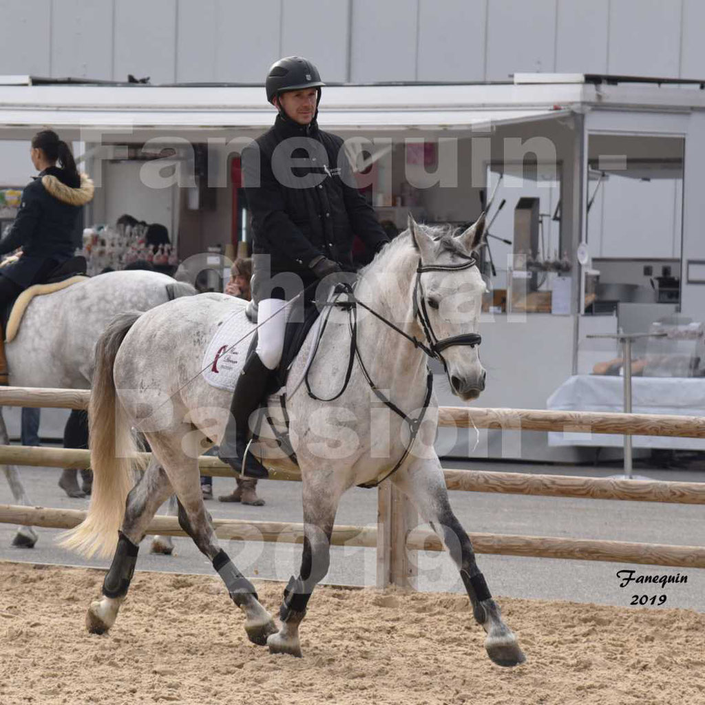 Cheval Passion 2019 - Chevaux LIPIZZAN dehors montés - 18