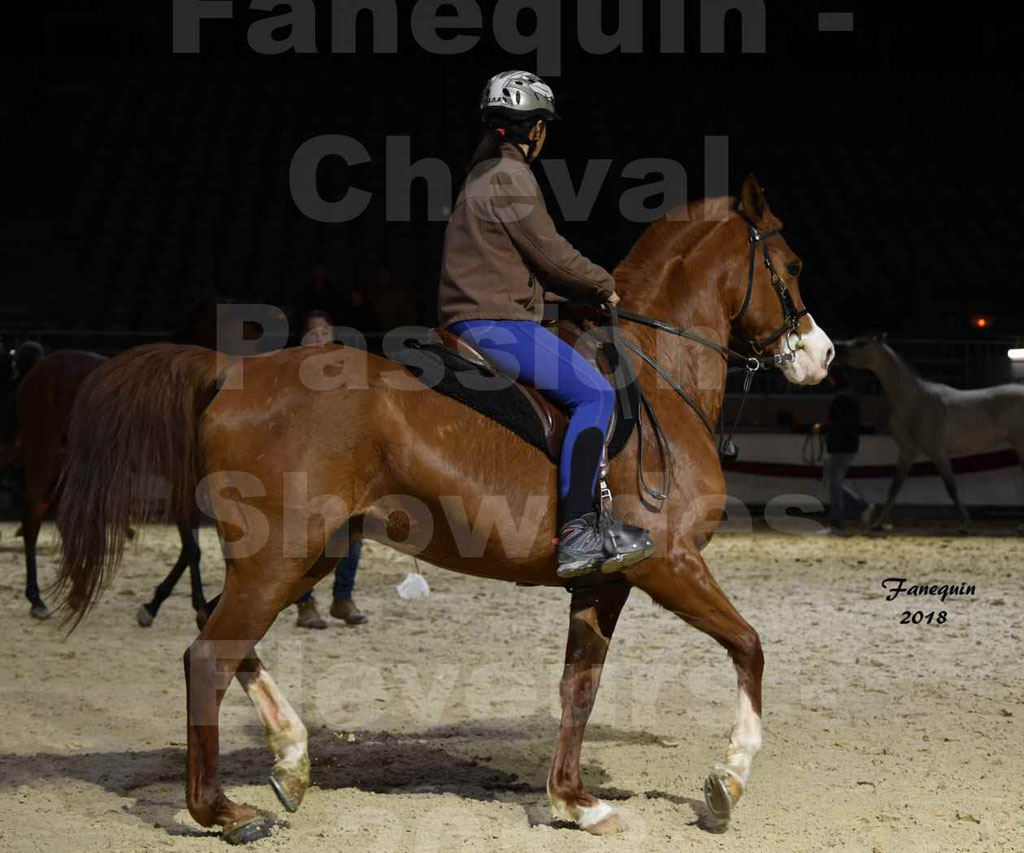 Cheval passion 2018 - Show des éleveurs - Chevaux ARABES - Notre Sélection - 39