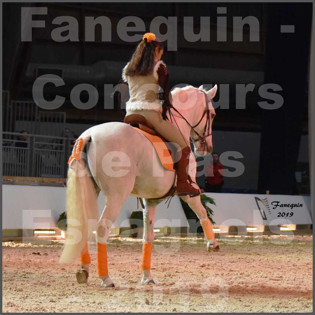 Cheval Passion 2019 - Concours de Pas Espagnol - Étalon "ZIDANE" - 33