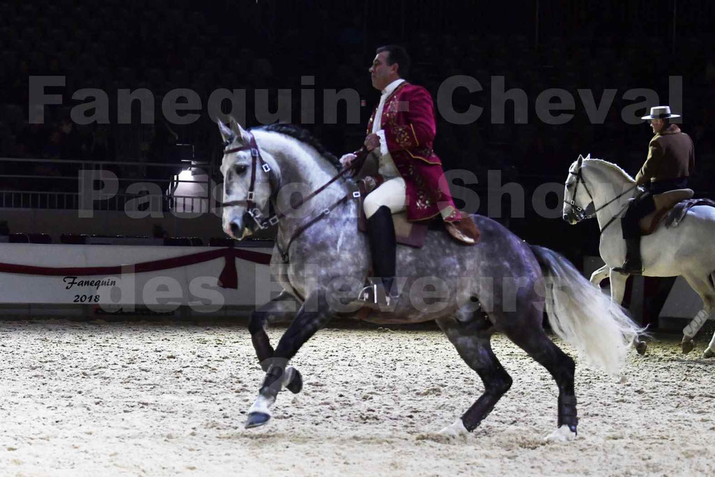 Cheval passion 2018 - Show des éleveurs - Chevaux LUSITANIEN - Tony MARTINS - Notre Sélection - 26