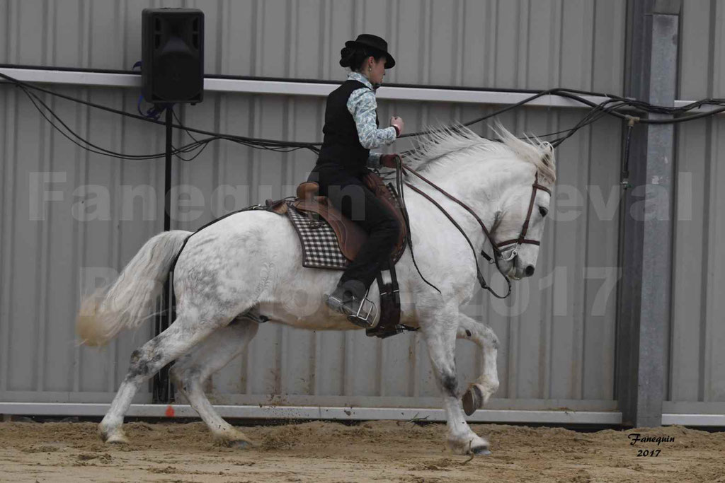 Cheval Passion 2017 - Equitation de Travail - Épreuve de dressage - Coralie NOBLE