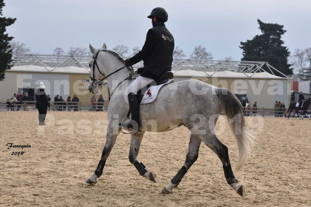 Cheval Passion 2019 - Chevaux LIPIZZAN dehors montés - 19