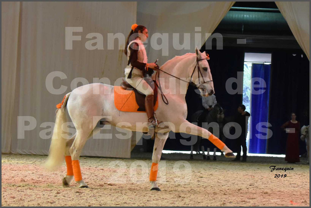 Cheval Passion 2019 - Concours de Pas Espagnol - Étalon "ZIDANE" - 42