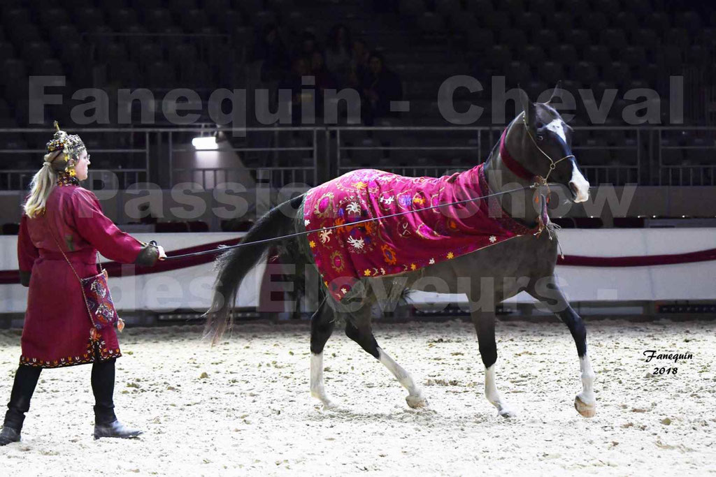 Cheval passion 2018 - Show des éleveurs - AKHAL TEKE - Notre Sélection - 1