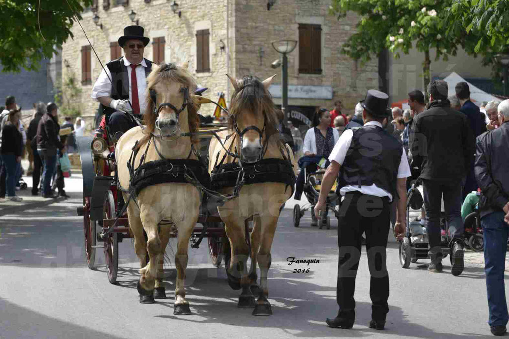 Défilé d'attelage à Villeneuve d'Aveyron le 15 Mai 2016 - Paire poneys - 04