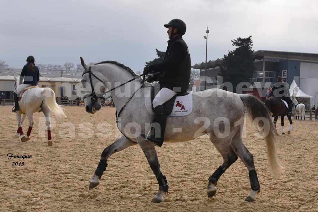 Cheval Passion 2019 - Chevaux LIPIZZAN dehors montés - 16