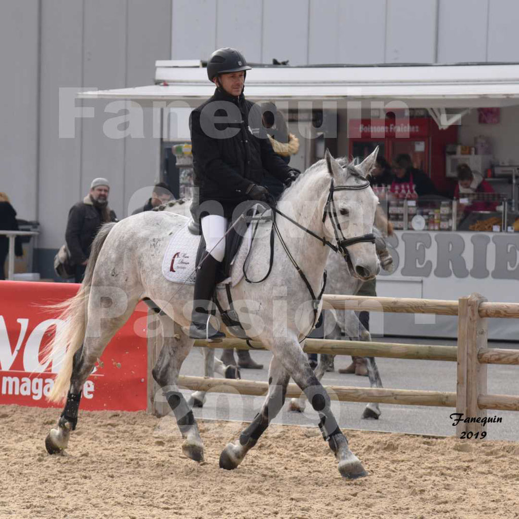 Cheval Passion 2019 - Chevaux LIPIZZAN dehors montés - 17