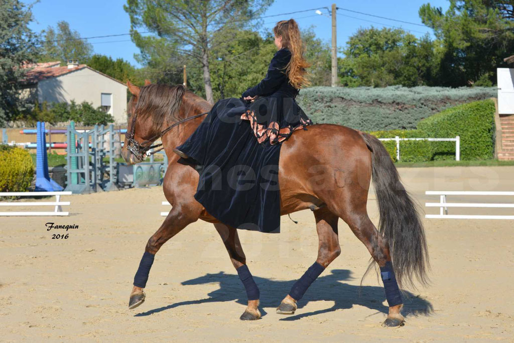 rencontres Amazones au Haras d'UZES 2016 - Mélie PHILIPPOT