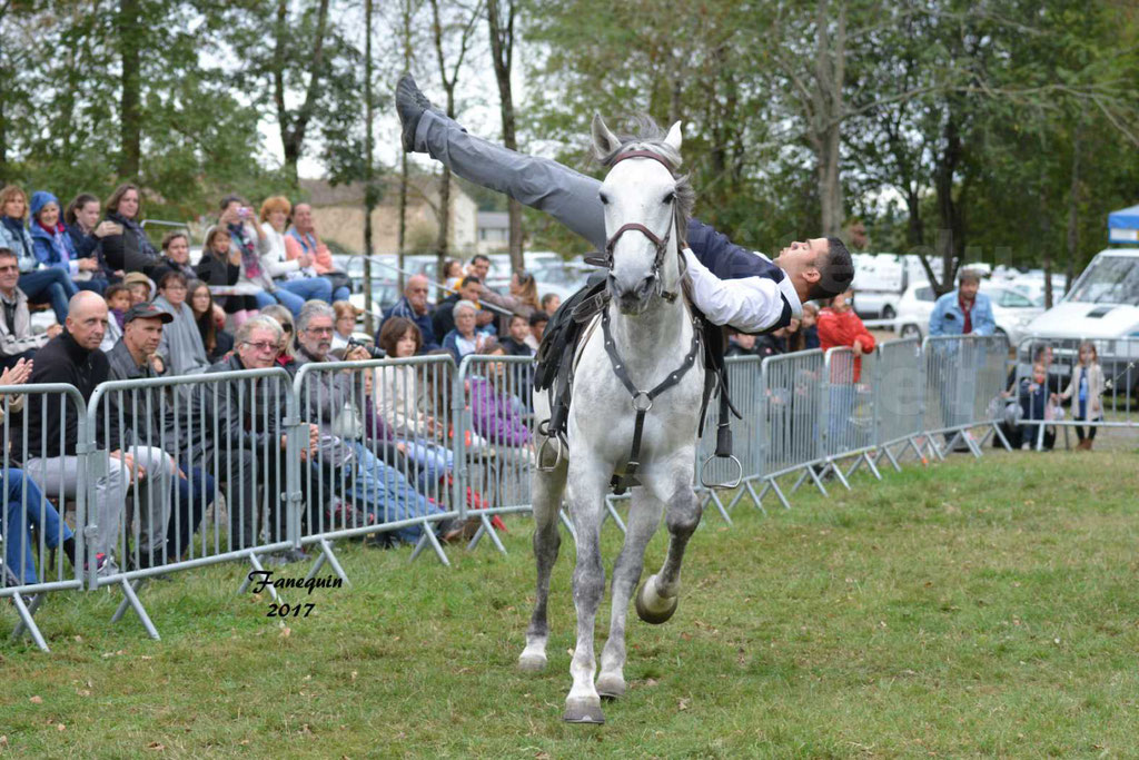 Spectacle équestre de la Fête du Cheval à GRAULHET le 17 Septembre 2017 - 2