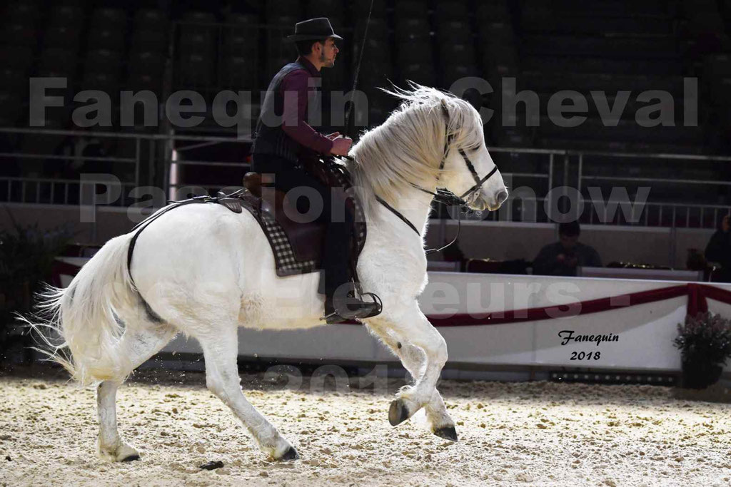 Cheval passion 2018 - Show des éleveurs - Chevaux CAMARGUE - Notre Sélection - 03