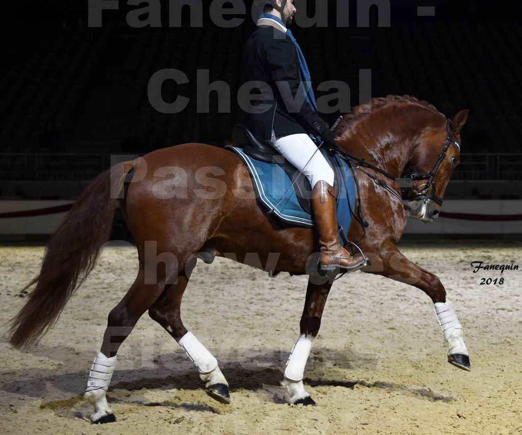 Cheval passion 2018 - Show des éleveurs - Chevaux ESPAGNOL - 2