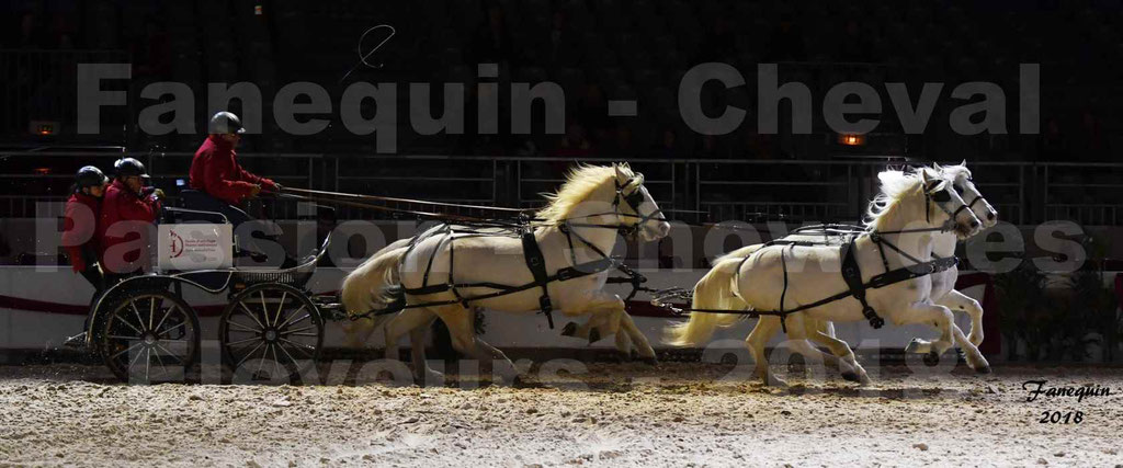 Cheval passion 2018 - Show des éleveurs - Chevaux CAMARGUE - "attelage Team" - Notre Sélection - 8