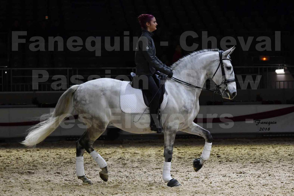 Cheval passion 2018 - Show des éleveurs - Chevaux LUSITANIEN - Institut Français des Arts Équestres - Notre Sélection - 69