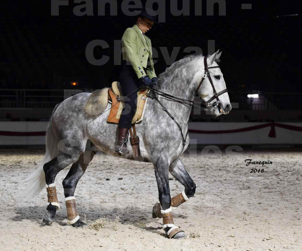 Cheval passion 2018 - Show des éleveurs - Chevaux LUSITANIEN - Institut Français des Arts Équestres - Notre Sélection - 13