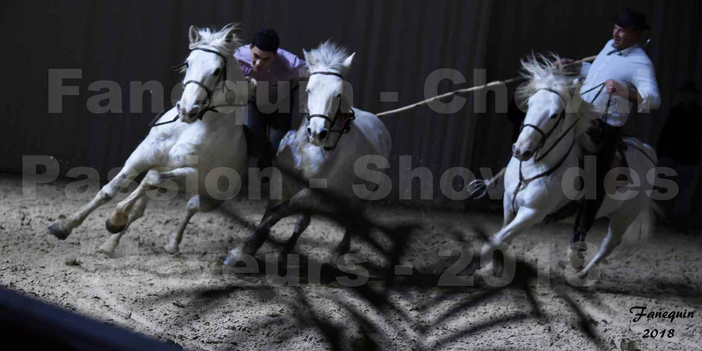 Cheval passion 2018 - Show des éleveurs - Chevaux CAMARGUE - "artiste saut de cheval" - Notre Sélection - 3