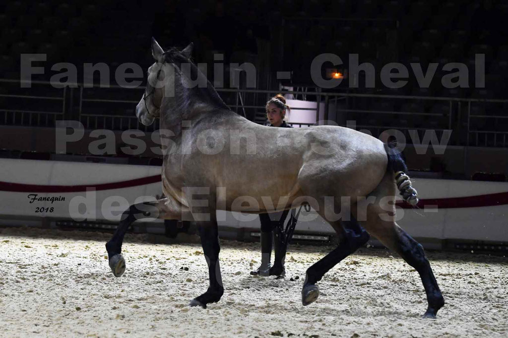 Cheval passion 2018 - Show des éleveurs - Chevaux LUSITANIEN - Notre Sélection - 4