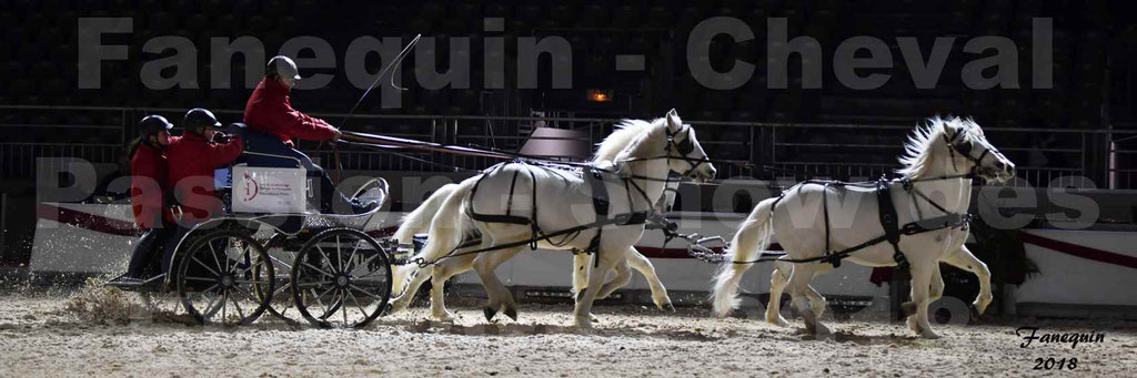 Cheval passion 2018 - Show des éleveurs - Chevaux CAMARGUE - "attelage Team" - Notre Sélection - 2