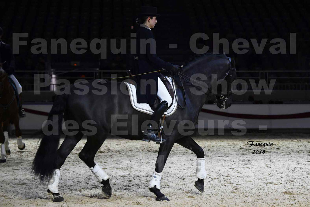 Cheval passion 2018 - Show des éleveurs - Chevaux ESPAGNOL - Notre Sélection 2 - 18