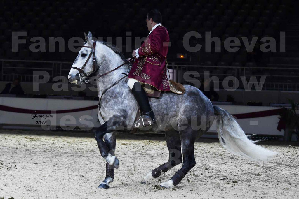 Cheval passion 2018 - Show des éleveurs - Chevaux LUSITANIEN - Tony MARTINS - Notre Sélection - 10
