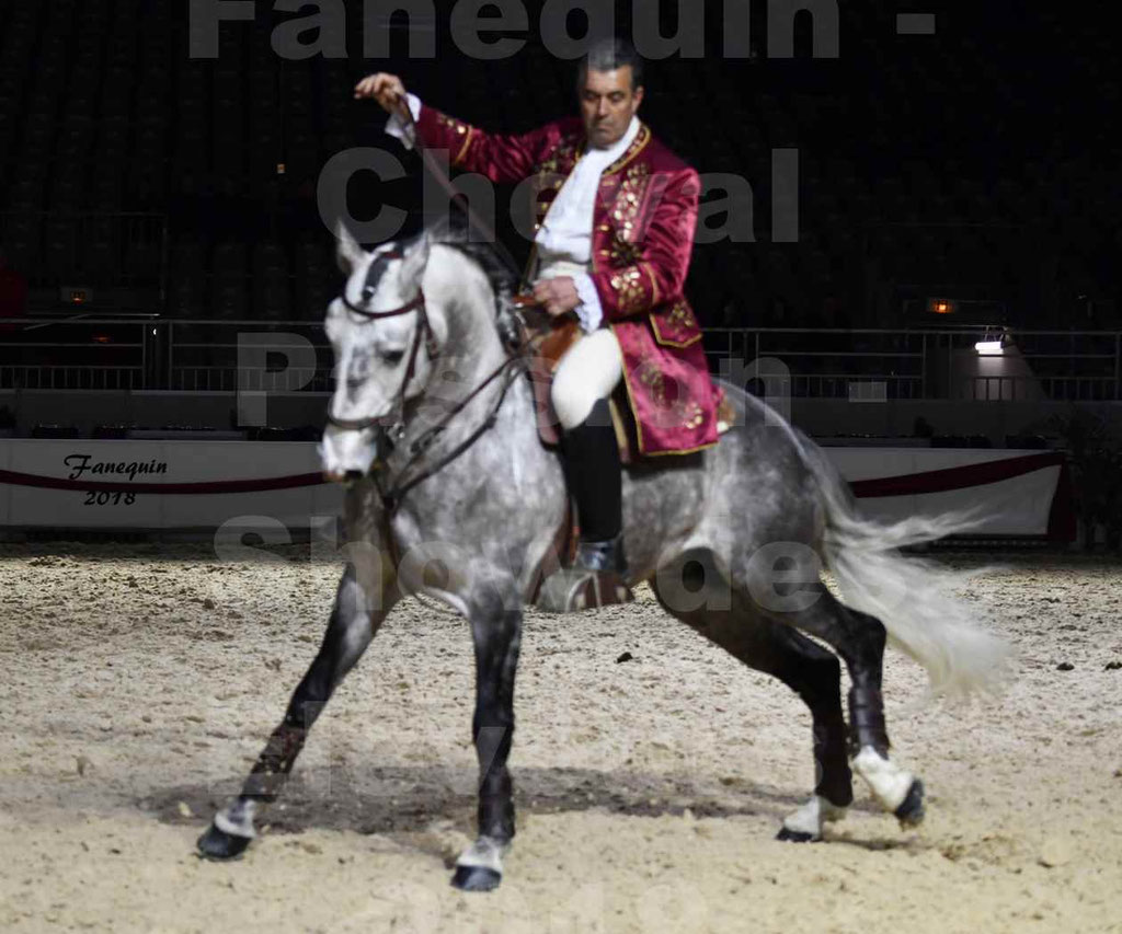 Cheval passion 2018 - Show des éleveurs - Chevaux LUSITANIEN - Tony MARTINS - Notre Sélection - 16