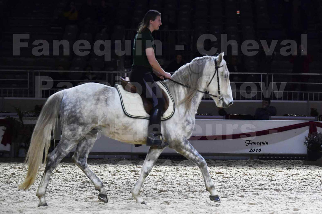 Cheval passion 2018 - Show des éleveurs - Chevaux BARBES - Notre Sélection - 07