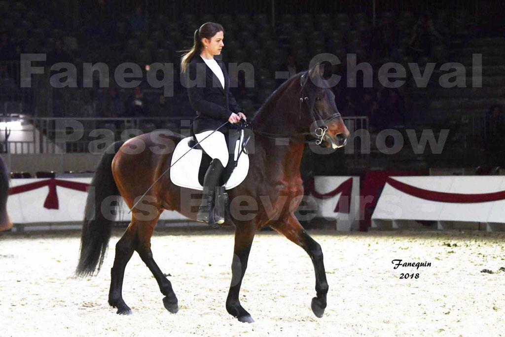 Cheval passion 2018 - Show des éleveurs - Chevaux BARBES - Notre Sélection - 11