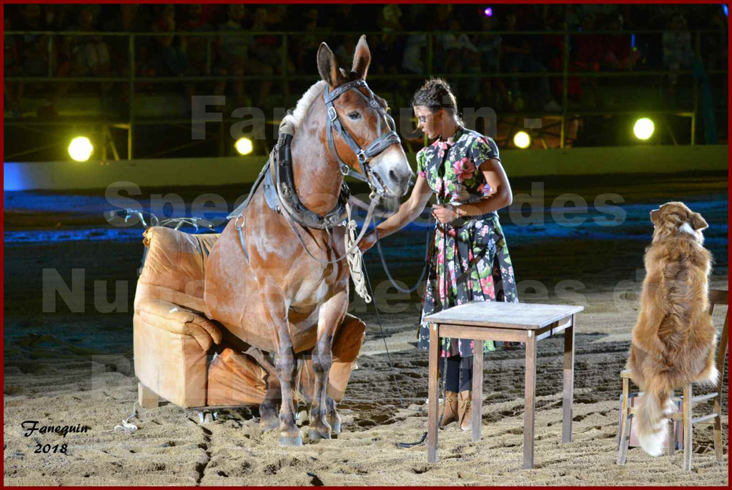 Spectacle Nocturne des "Nuits Equestres" lors de la Féria de BEZIERS 2018 - 3