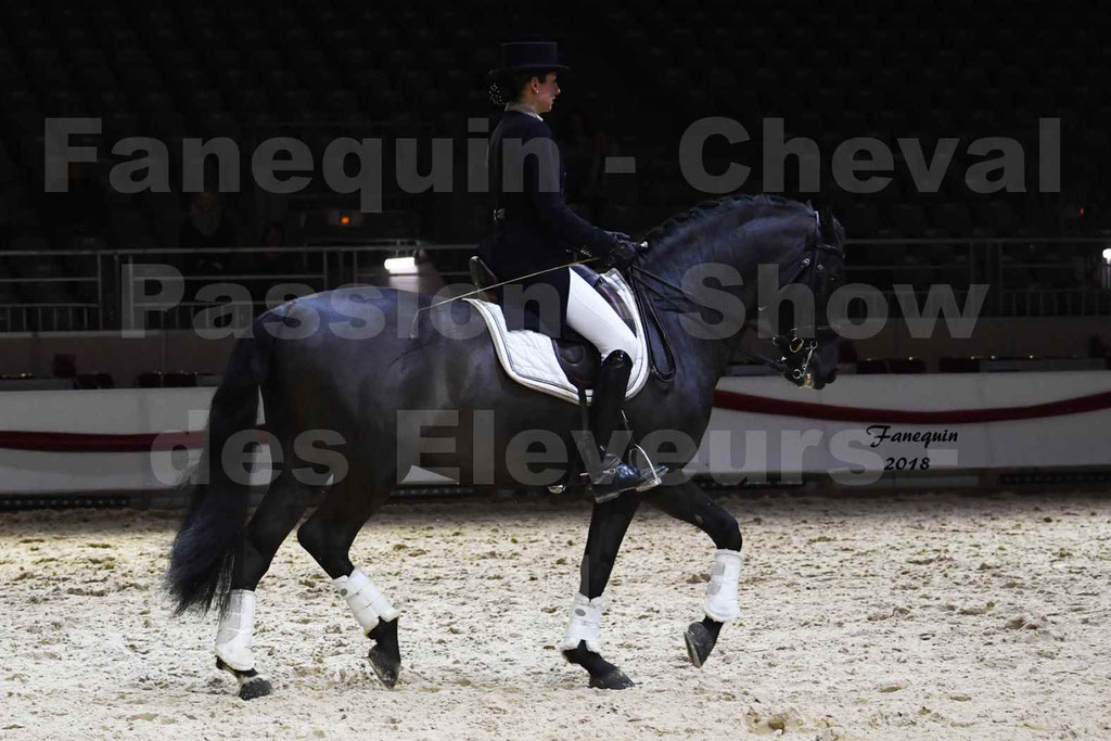 Cheval passion 2018 - Show des éleveurs - Chevaux ESPAGNOL - Notre Sélection 2 - 02