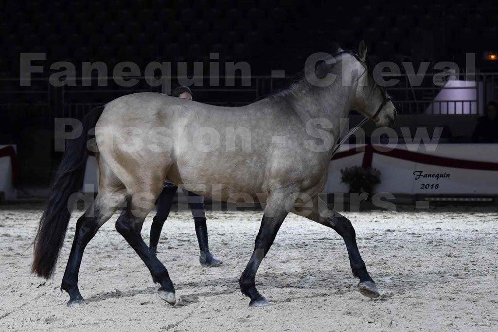 Cheval passion 2018 - Show des éleveurs - Chevaux ESPAGNOL - Notre Sélection - 06