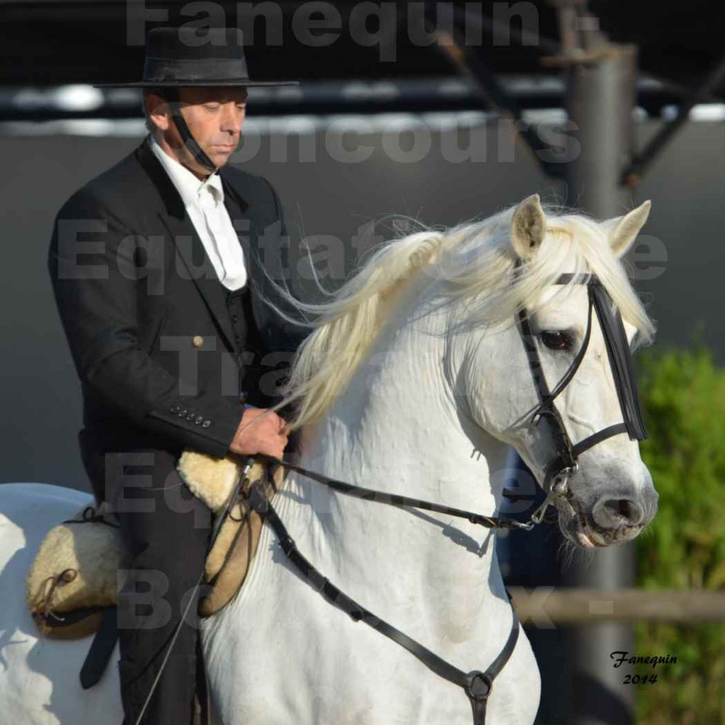 Salon Equitaine Bordeaux 2014 - Portraits de chevaux d'Equitation de travail - 30