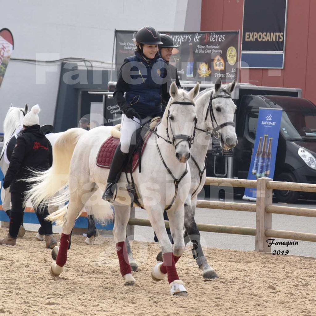 Cheval Passion 2019 - Chevaux LIPIZZAN dehors montés - 10