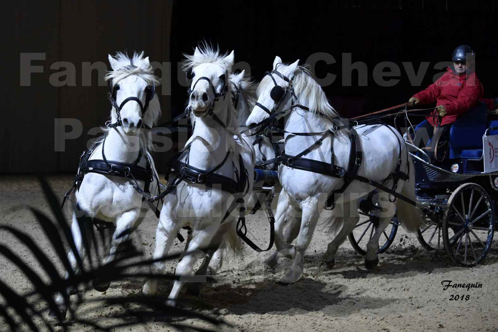 Cheval passion 2018 - Show des éleveurs - Chevaux CAMARGUE - "attelage Team" - Notre Sélection - 1