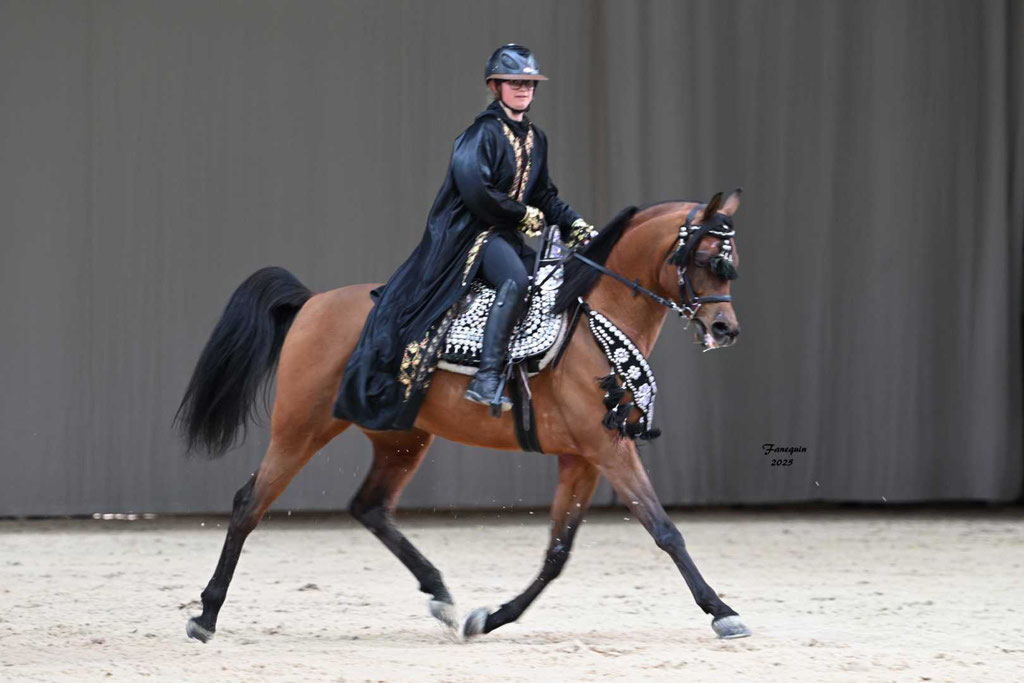 Cheval passion 2025 - Show d'Elevages - Chevaux ARABES de SHOW