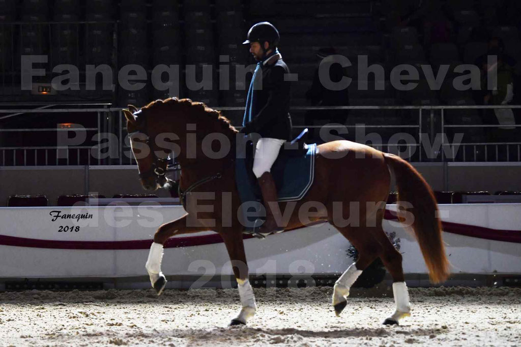 Cheval passion 2018 - Show des éleveurs - Chevaux ESPAGNOL - Notre Sélection 2 - 07