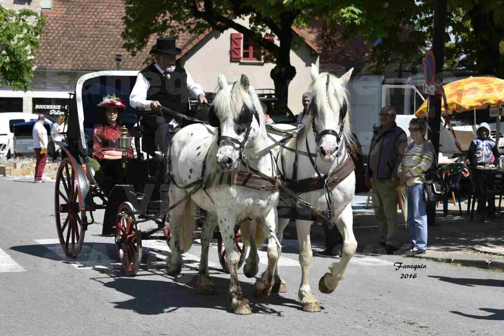 Défilé d'attelage à Villeneuve d'Aveyron le 15 Mai 2016 - Paire cheval APPALOOSA - 11