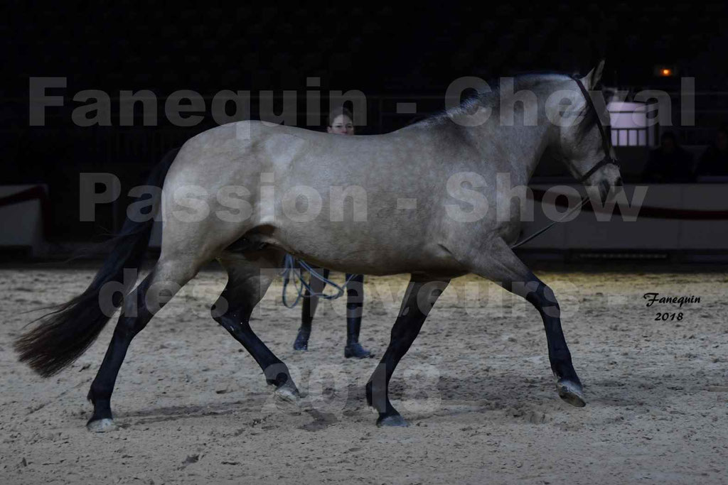 Cheval passion 2018 - Show des éleveurs - Chevaux ESPAGNOL - Notre Sélection - 07