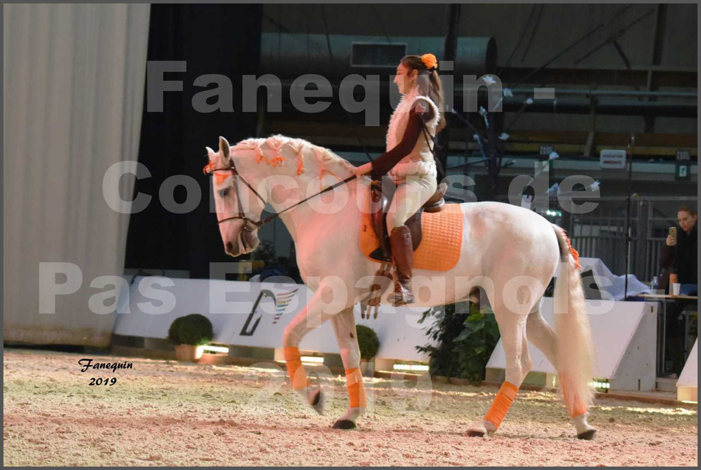 Cheval Passion 2019 - Concours de Pas Espagnol - Étalon "ZIDANE" - 12