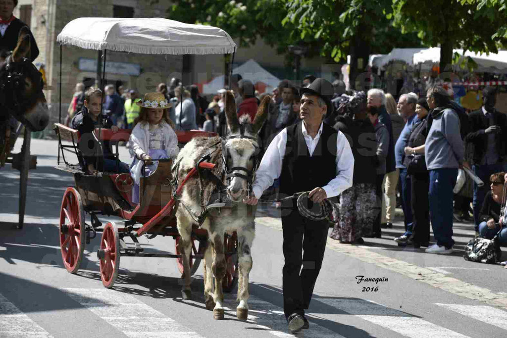 Défilé d'attelage à Villeneuve d'Aveyron le 15 Mai 2016 - Simple âne Pie - 01