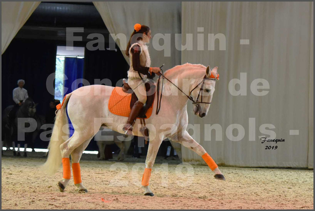 Cheval Passion 2019 - Concours de Pas Espagnol - Étalon "ZIDANE" - 44