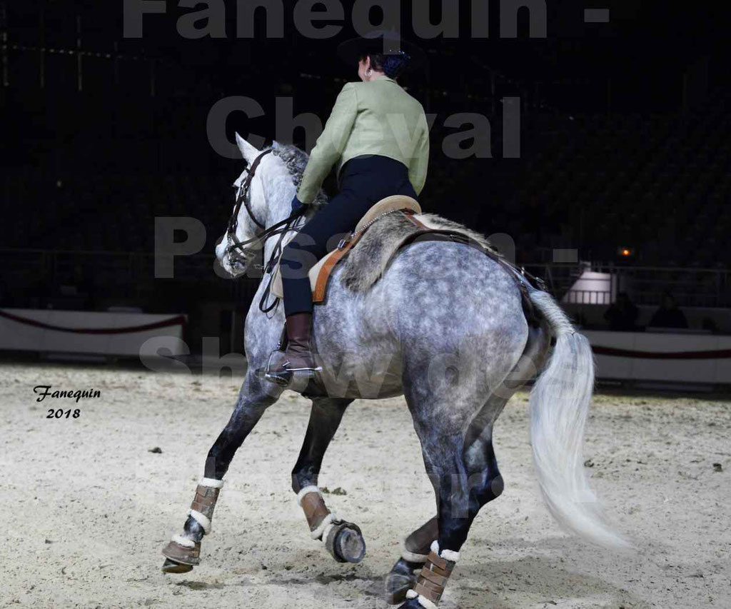 Cheval passion 2018 - Show des éleveurs - Chevaux LUSITANIEN - Institut Français des Arts Équestres - Notre Sélection - 04