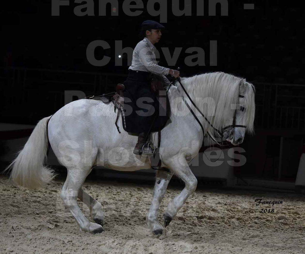 Cheval passion 2018 - Show des éleveurs - Chevaux CAMARGUE - Notre Sélection - 40