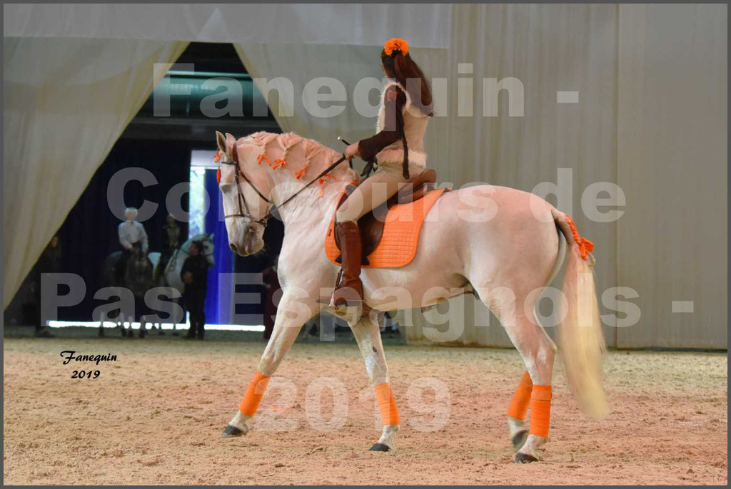 Cheval Passion 2019 - Concours de Pas Espagnol - Étalon "ZIDANE" - 53