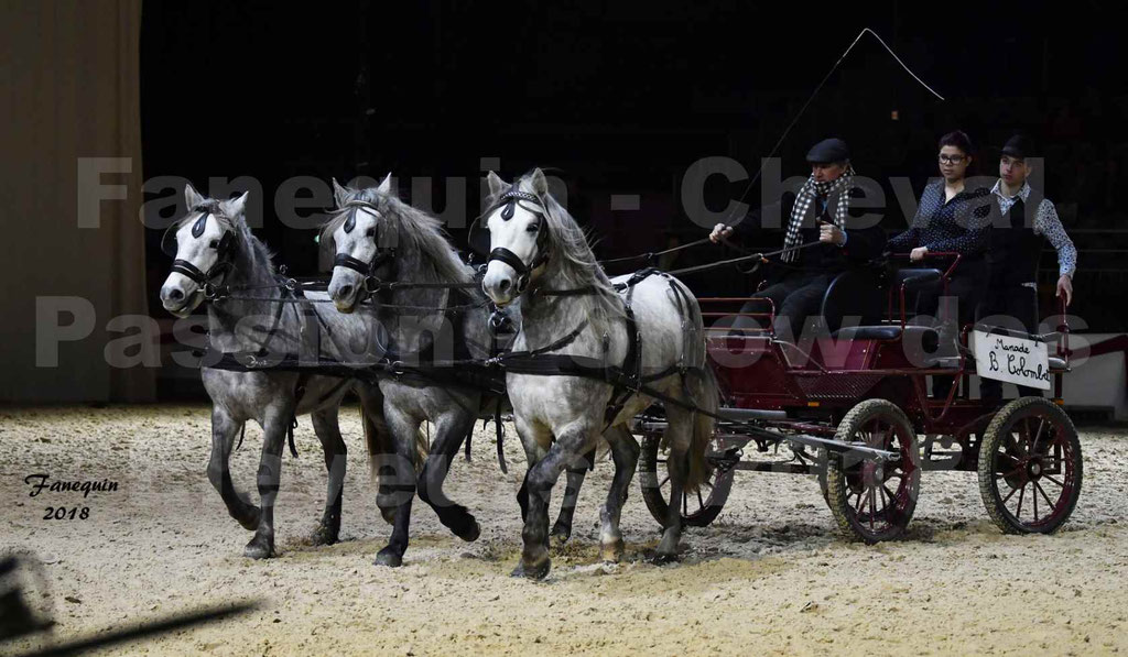 Cheval passion 2018 - Show des éleveurs - Chevaux CAMARGUE - "attelage d’évêque" - Notre Sélection - 3