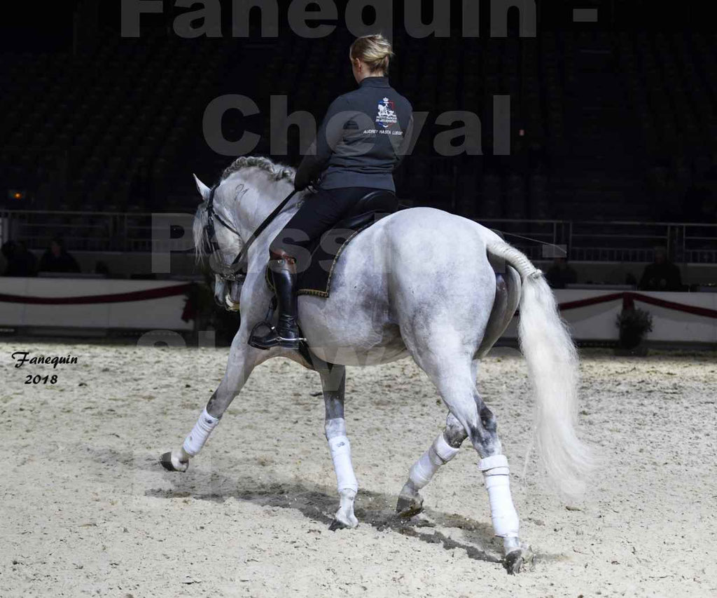 Cheval passion 2018 - Show des éleveurs - Chevaux LUSITANIEN - Institut Français des Arts Équestres - Notre Sélection - 75