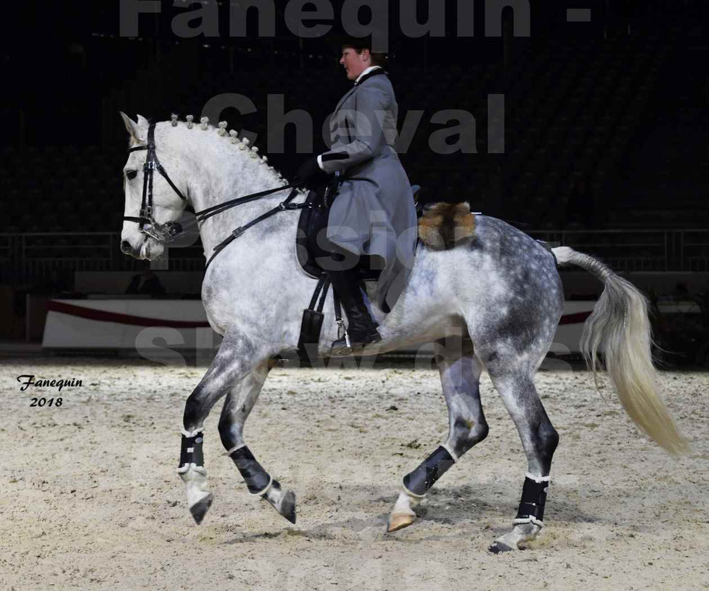 Cheval passion 2018 - Show des éleveurs - Chevaux LUSITANIEN - Institut Français des Arts Équestres - Notre Sélection - 39