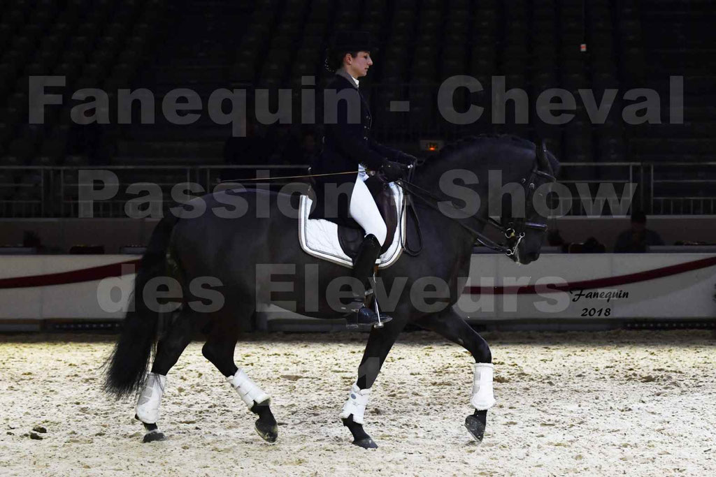 Cheval passion 2018 - Show des éleveurs - Chevaux ESPAGNOL - Notre Sélection 2 - 01