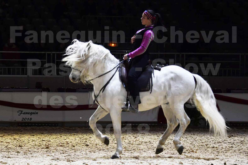 Cheval passion 2018 - Show des éleveurs - Chevaux CAMARGUE - Notre Sélection - 12