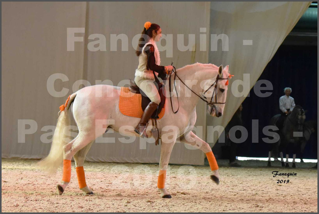 Cheval Passion 2019 - Concours de Pas Espagnol - Étalon "ZIDANE" - 41