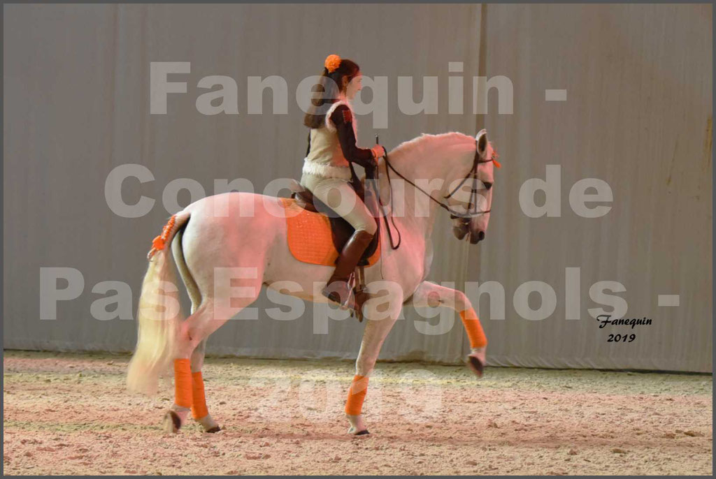 Cheval Passion 2019 - Concours de Pas Espagnol - Étalon "ZIDANE" - 39