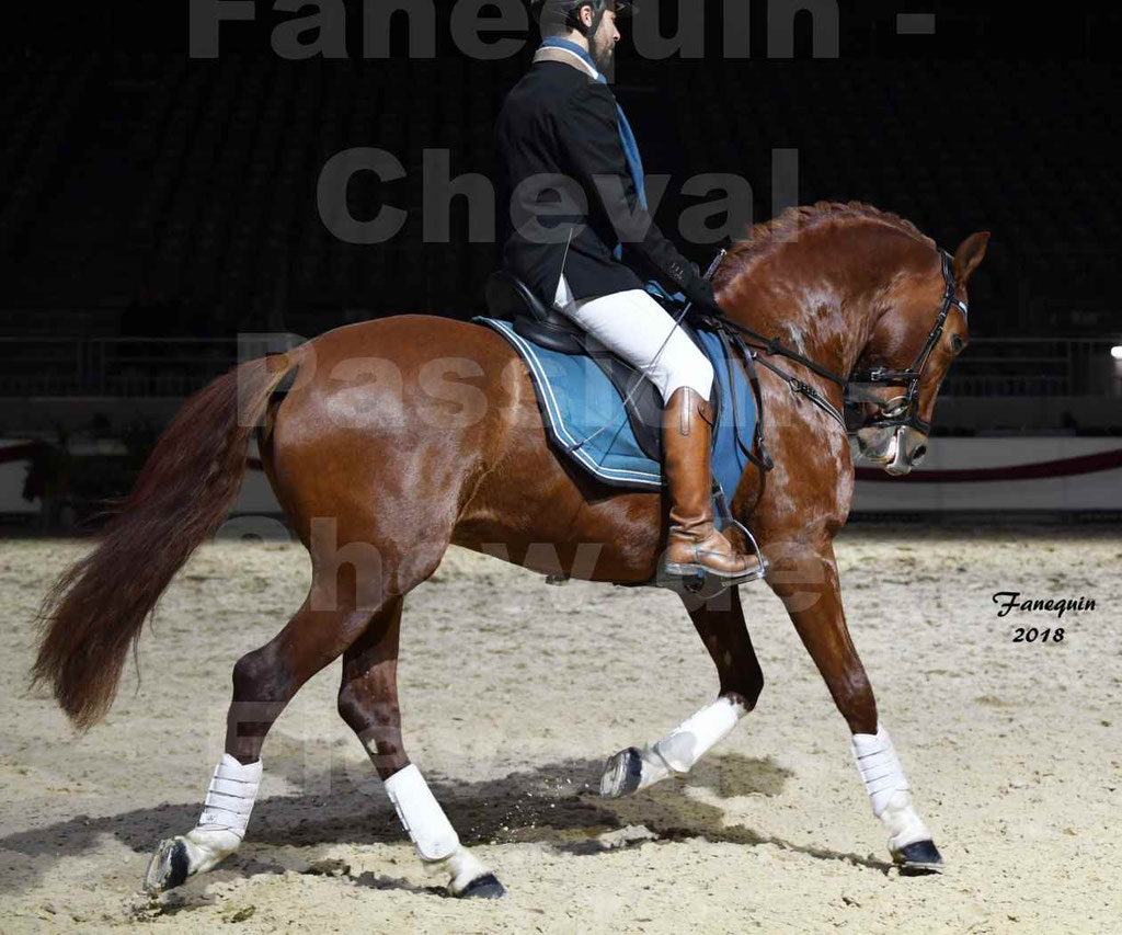 Cheval passion 2018 - Show des éleveurs - Chevaux ESPAGNOL - Notre Sélection 2 - 12